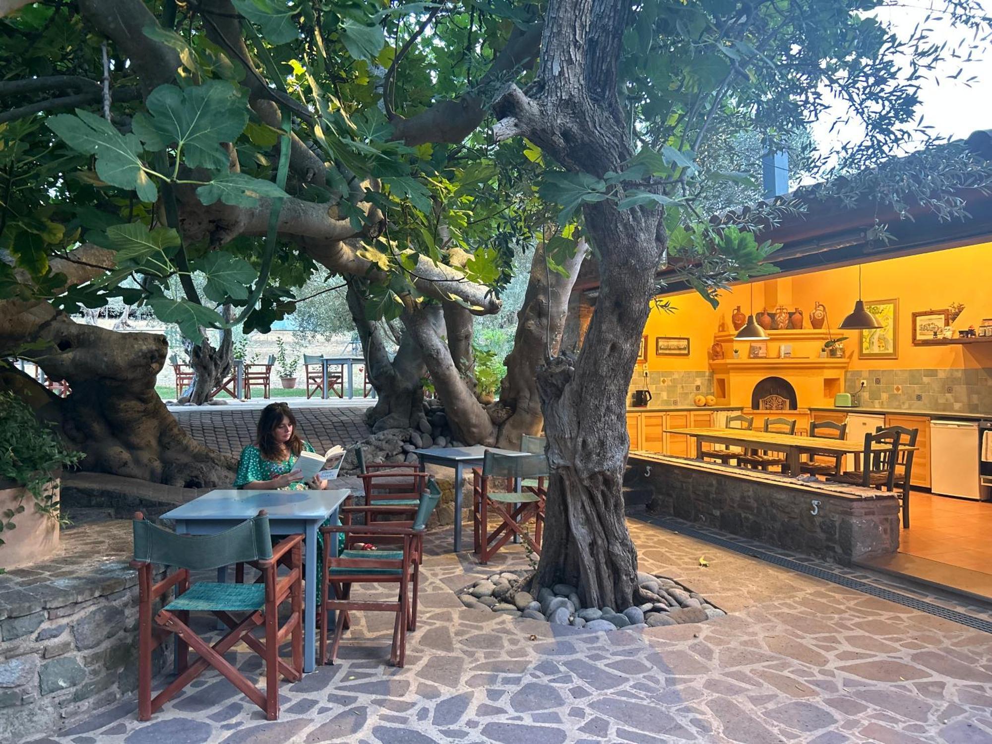 Villa Daphnis&Chloe Pyrgi Thermis Exterior foto