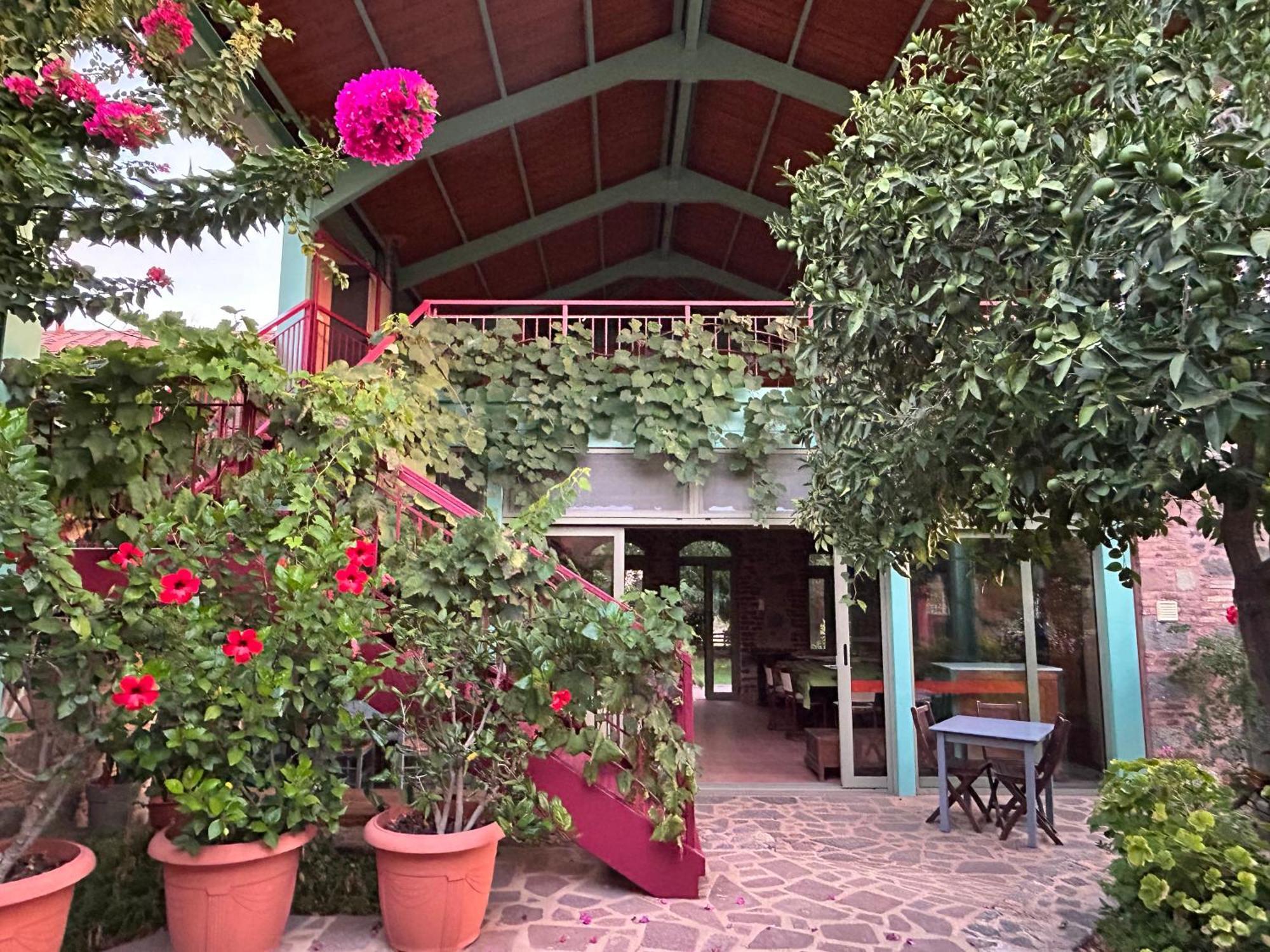 Villa Daphnis&Chloe Pyrgi Thermis Exterior foto